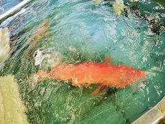 -大天然酒店(军民路店)