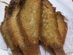 -金穗园·砂锅粥.醉鸡煲火锅(长寿路店)