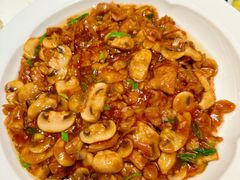 肉蘑炒肉-新乾隆酒楼(帝景园店)