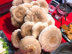 -谭鸭血老火锅(漳州路店)