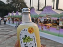 -顺峰山公园
