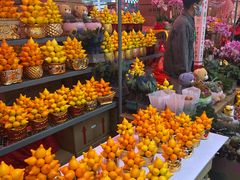 -越秀西湖花市(广州城市广场花卉店)