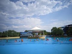 -海盗传奇水世界