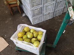 -大连果菜批发市场