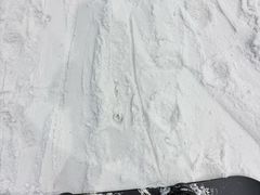 -哈尔滨热雪奇迹