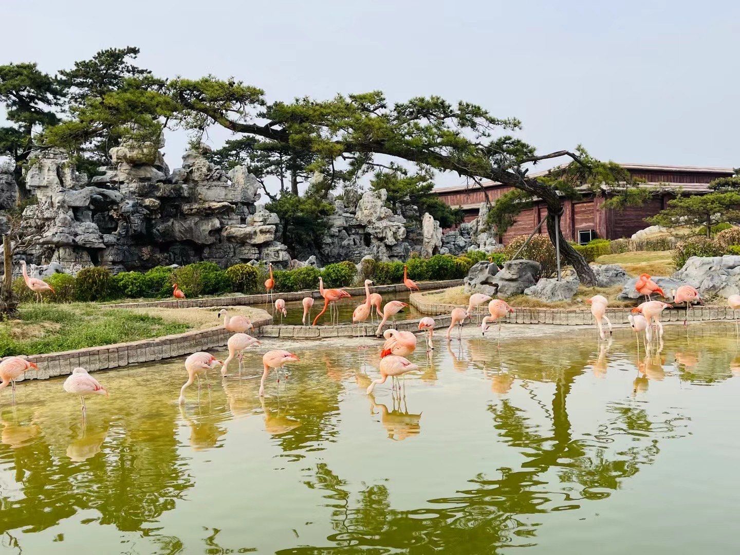 泉城欧乐堡动物王国