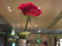-海底捞火锅(方塔东街店)