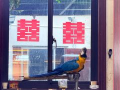 -观桥阁(锦溪店)