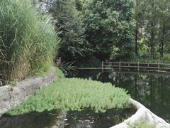 -成都市活水公园