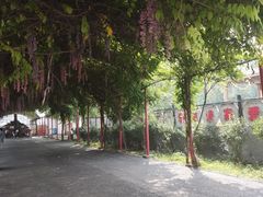 -河北村民俗体验园
