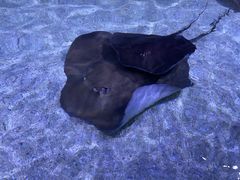 -北海海底世界