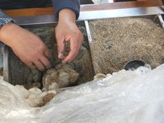 -叶氏麻糍(鼓浪屿店)