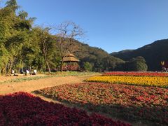 -广州市石门国家森林公园
