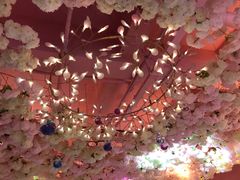-pink baby·新晋网红打卡地