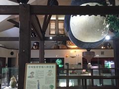 -伊豆泰迪熊博物馆