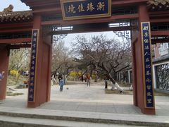 -桃花堤公园