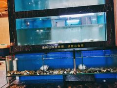 鲜活海鲜-海玥荟海鲜姿造自助餐厅(欧罗巴广场店)