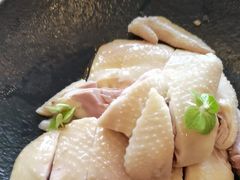 -南海渔村·空中一号