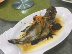 清蒸石斑鱼-清水湾3号(东方小周海鲜店)