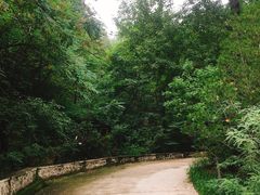 -北京鹫峰国家森林公园