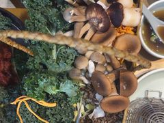 -手选潮汕鲜活牛肉火锅(二七广场店)