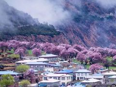 -魔指印象(西藏旗舰店)