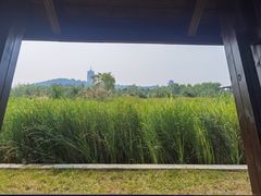 -永定河休闲森林公园