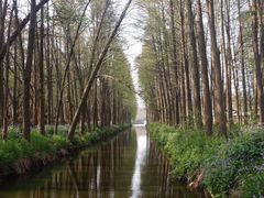 -溱湖国家湿地公园