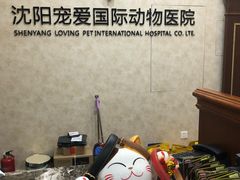 -宠爱国际动物医院· 猫科· 外科·中兽医(长白店)
