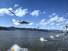 -海埂大坝