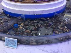 -澜悦港海鲜体验主题餐厅