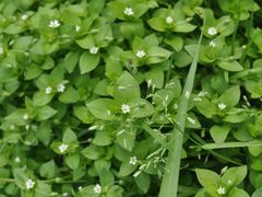 -艾溪湖湿地公园