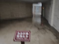 -乐山市博物馆