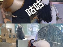 -M Stand(BFC外滩金融中心店)