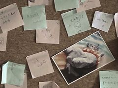 -白兔子密室(长寿路店)