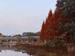 -白鹭湾湿地公园