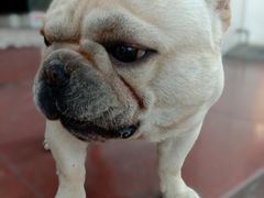 -陈记栗子(长宁路店)