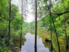 -天目湖山水园