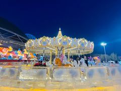 -沈阳奥体冰雪嘉年华