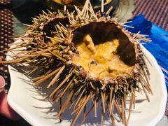 海胆-铭门盛宴艺术海鲜姿造(珠江新城店)