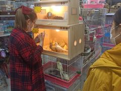 -三旗百汇商品城