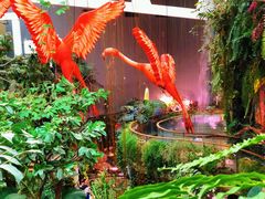 -正佳雨林生态植物园