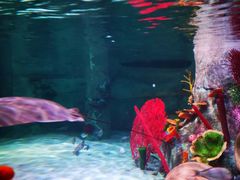 -沈阳海洋探索中心