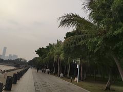 -深圳湾公园(南山区)