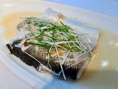 清蒸太湖白鱼-天福苑(崇宁路店)