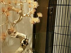 -悦融·京鲁菜·露台花园(安定门店)