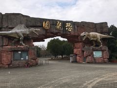 -上海海湾国家森林公园