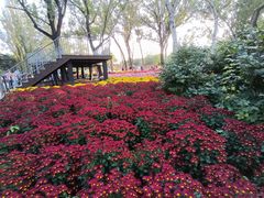 -国家植物园南园