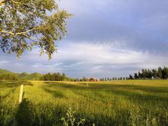 -塞罕坝国家级自然保护区