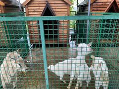 -同里湖度假村(二期店)